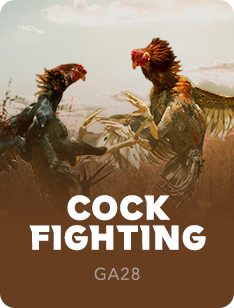 GA28